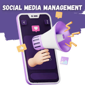 social media management| Aaykayservices 